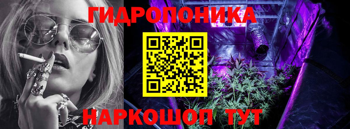 Конопля ГИДРОПОН  Вход с VPN  Бошки Шишки гибрид  Конопля план  Артём 